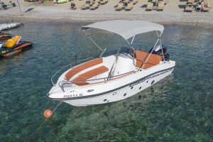 Nireus 490 Comfort (30HP, no license needed)